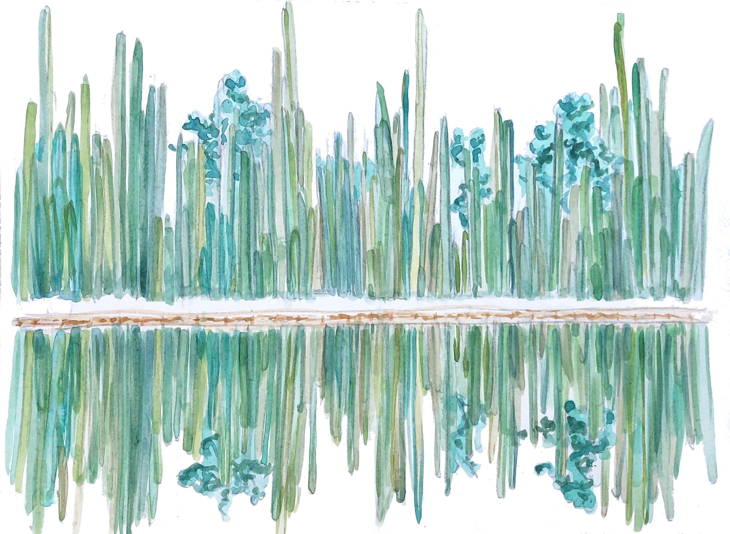 jardin1